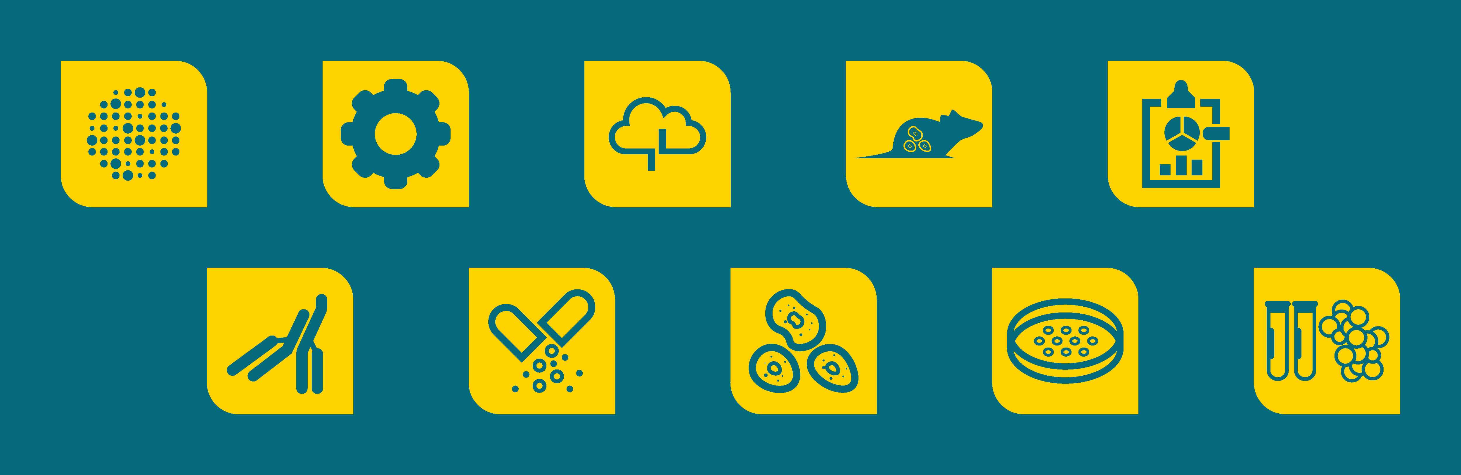CBIO BOARD ICONS COPY