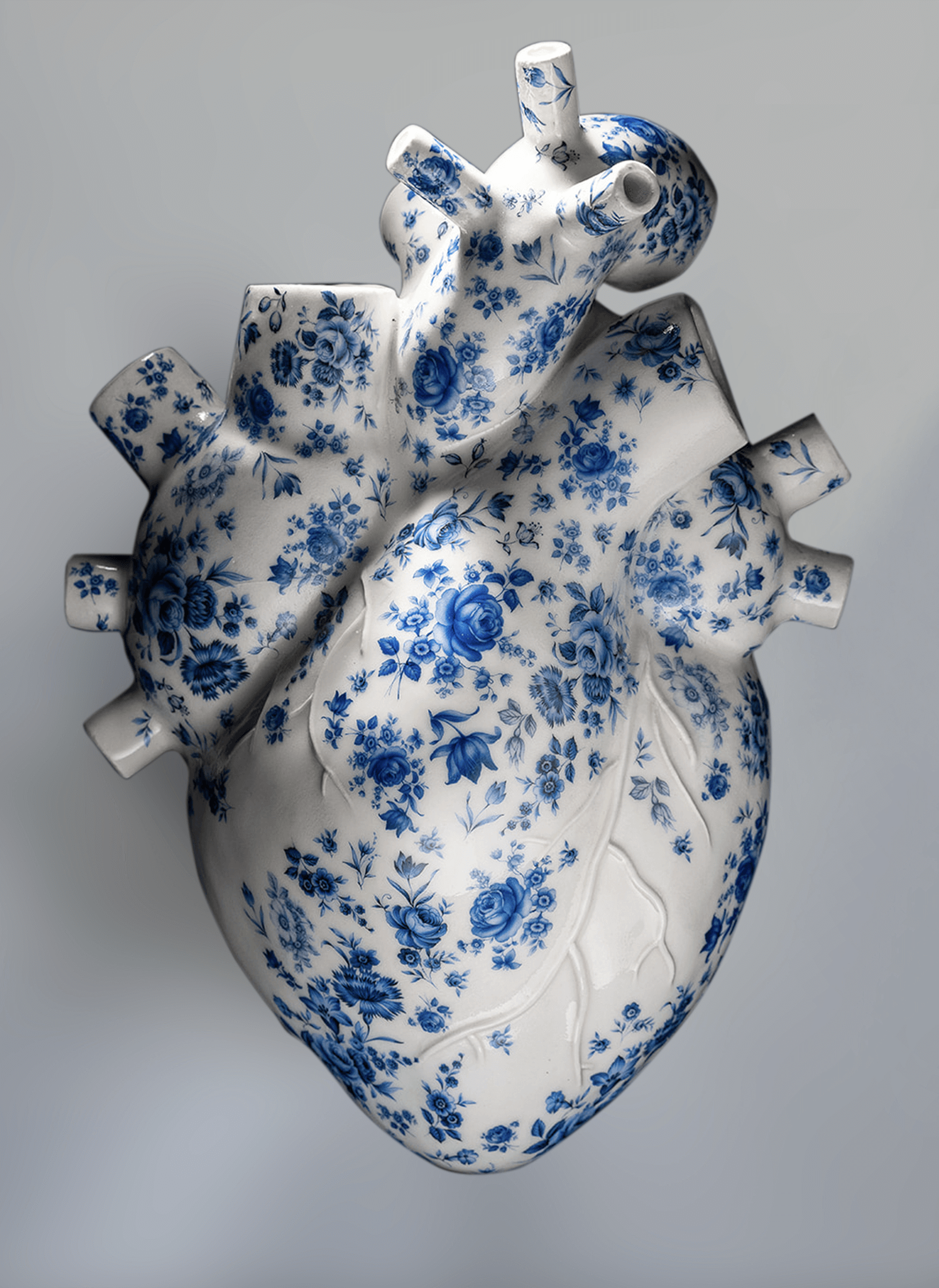 Large Heart Section Image B